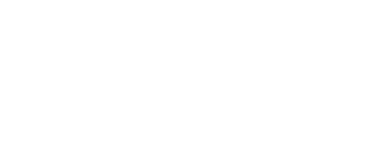 SUBTIL